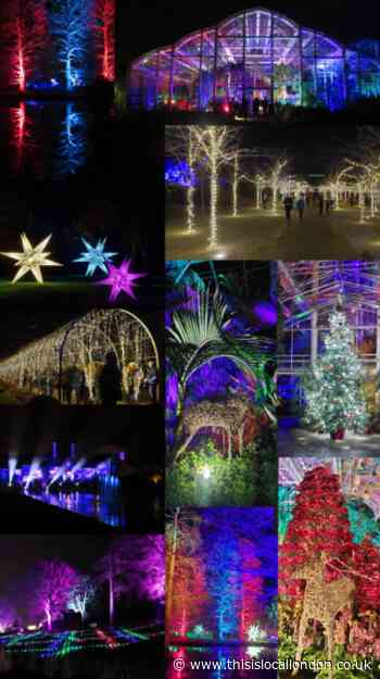 The Glow at RHS Wisley is where the festive fun really begins - Olivia Long, Heathside School