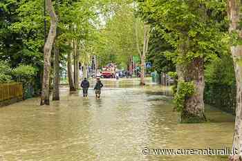 Rapporto Ispra: il futuro dell'ambiente italiano - Cure-Naturali.it - De Agostini