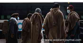 Exclusive: New Details Emerge on Afghan Refugees - Inside Source Reveals Truth About Vetting