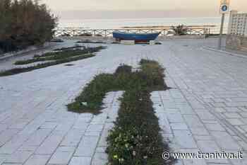 Aiuole morenti sul lungomare Mongelli, Centrone: «Manca ancora un impianto d'irrigazione» - TraniViva