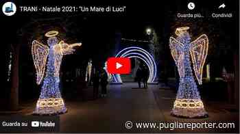 Trani: "Un Mare di Luci" per augurare Buone Feste e Buon Anno - Video - - Puglia Reporter Notizie