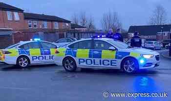 Armed police stand-off after boy and his dog 'deliberately' hit by car - Express