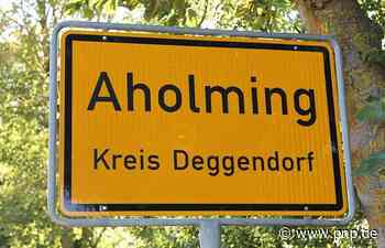 Radweg nach Plattling: Gemeinsam Lösung finden - Aholming - pnp.de