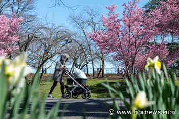 Study finds slight developmental lag in babies born during pandemic