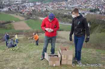 Aus weiter Ferne zu lesen: „Jesus lebt“ - Hardheim - Nachrichten und Informationen - fnweb.de