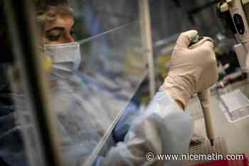 Omicron pourrait générer des variants du Covid-19 plus dangereux, prévient l'OMS