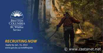 BC Wildfire Service accepting applications for next summer - BC News - Castanet.net