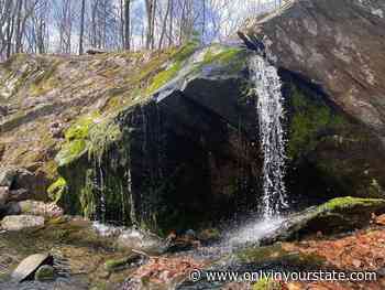 See The Tallest Waterfall In Rhode Island At The Ken Weber Conservation Area At Cascade Brook - Only In Your State