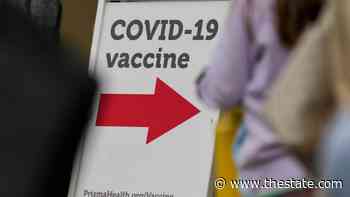 Coronavirus omicron updates: Here’s what to know in South Carolina on Jan. 4 - The State
