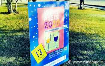 Annullata ViniVeri Assisi 2022: appuntamento a Cerea dall'8 al 10 aprile - WineMag.it