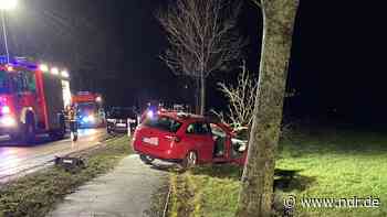 74-Jähriger fährt in Stade gegen Baum und stirbt - NDR.de