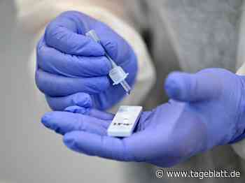 Corona: Inzidenz im Kreis Stade sinkt leicht - weiter über 120 - Landkreis Stade - Tageblatt-online