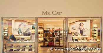 Mr. Cat tem vaga para vendedor em Jundiai (03/01/2022) - Itupeva Agora