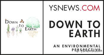 Down to Earth — Tecumseh Land Trust and affordable housing - Yellow Springs News