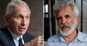 Narrative Smasher Dr. Malone Reveals How the Medical Community Has Felt About Fauci 'for Decades'