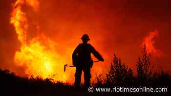 Argentina, Chile and Uruguay affected by massive forest fires - The Rio Times