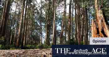 Forest regeneration funding misses burning issue - The Age