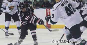 Rush's Nelson, Baylis, Coatta called up to Tucson - Rapid City Journal