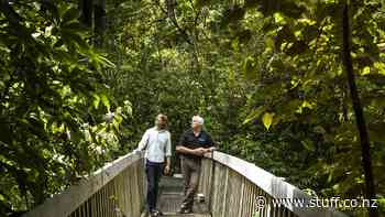 Golden Kiwi helping bring kiwi home to Nelson sanctuary - Stuff.co.nz