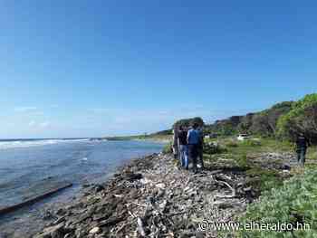 Hallan flotando restos humanos en una de las playas de Roatán - Diario El Heraldo - ElHeraldo.hn