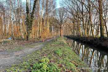 Verbod wateronttrekking uit beken (Kinrooi) | Het Belang van Limburg Mobile - Het Belang van Limburg