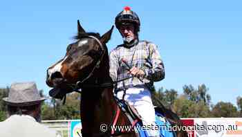 Paul Theobald's three-pronged attack at Orange's thoroughbred meeting - Western Advocate
