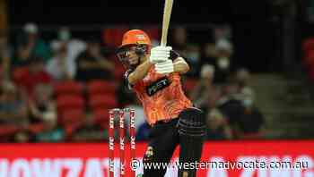 More to red-hot Scorchers than Mitch Marsh - Western Advocate