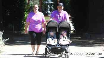 Orange's Glenn Atkinson to stop by Bathurst on and epic pram trek to Sydney - Western Advocate