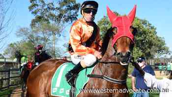 Jailbreak makes second start since moving to Gayna Williams' Bathurst stable - Western Advocate