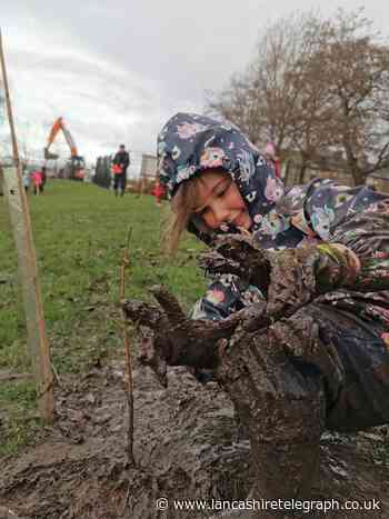 School pupils to help plant 4,000 trees across Pennine Lancashire