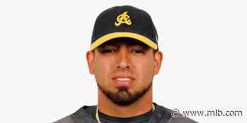 Águilas Cibaeñas pactan con Jake Sánchez - MLB.com