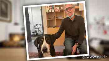 Einsamer Rentner (80) hat nur noch Hündin Paula - Tierheim Koblenz erfüllt seinen größten Wunsch - RTL Online