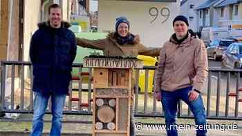 Bienenkommando: Schutz der Tiere kennt keine Grenzen - Koblenz & Region - Rhein-Zeitung
