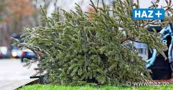 Sehnde: Jugendfeuerwehr holt Weihnachtsbäume ab - Hannoversche Allgemeine