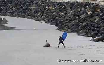 'Instinctive': Sea lion incident at Dunedin's St Clair beach sparks discussion - Newstalk ZB