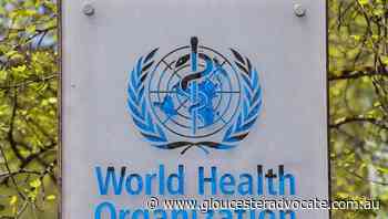 WHO sees more evidence Omicron is milder - Gloucester Advocate