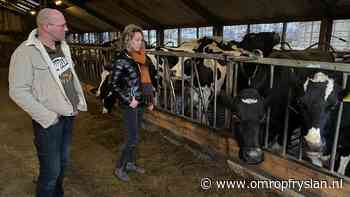 Rust, koeien en begeleiding op zorgboerderij Aldegea voor misbruikte vrouwen - Omrop Fryslan