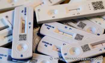 Are COVID-19 rapid tests being hoarded in a B.C. warehouse? Dr. Bonnie Henry weighs in. - Dawson Creek Mirror