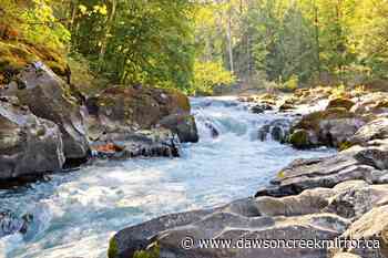 Study identifies Indigenous communities that are hotspots for flooding risk - Dawson Creek Mirror