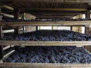 Il Garda, il Baldo e l’Amarone: chi cerca il timbro dell’Unesco - Corriere della Sera