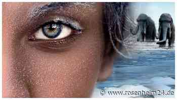 Von den Sauriern in die Eiszeit: Rosenheimer Lokschuppen verrät Details zur nächsten Ausstellung