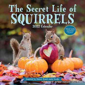 Old-school paper calendars for 2022 target interests like architecture, puzzles, running and squirrels - Arkansas Online