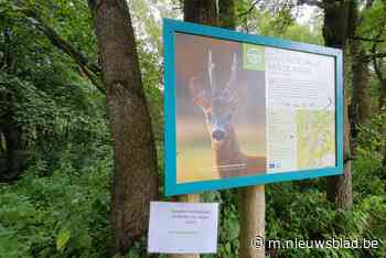 Natuurpunt waarschuwt voor bordjes die waarschuwen voor wolf: “Eigenaardige boodschap” - nieuwsblad.be