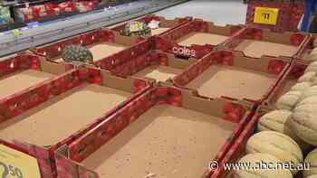 Purchase limits, transport services cut, meat shortage on Australia Day: COVID-driven staff shortages taking a toll