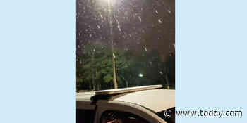 Snow falls in Florida — yes, Florida — in rare cold snap