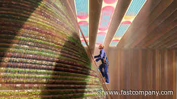 Designers Are Actually Making Solar Panels Attractive To Look At