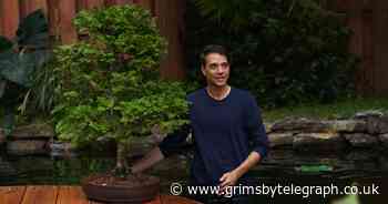 Review: Cobra Kai shows no mercy with epic season four - Grimsby Live