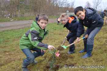Positief saldo geeft ruimte om te investeren: anderhalf miljoen euro voor aanleg sportterreinen