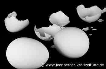 Polizeibericht aus Renningen - Wände und Garage mit Eiern und Mayo beschmiert - Leonberger Kreiszeitung