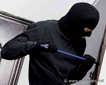 Soliera, furto ai danni del forno Borelli: rubato il fondo cassa - SulPanaro